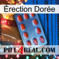Érection Dorée 06
